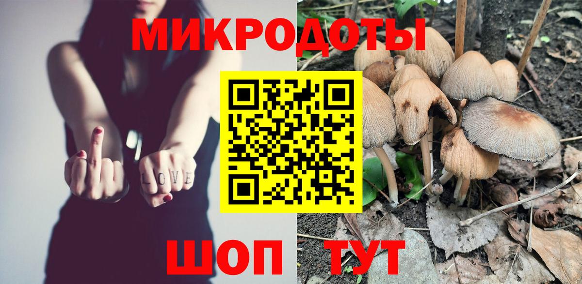 Лесной  Псилоцибиновые грибы мухоморы  Вход с VPN 