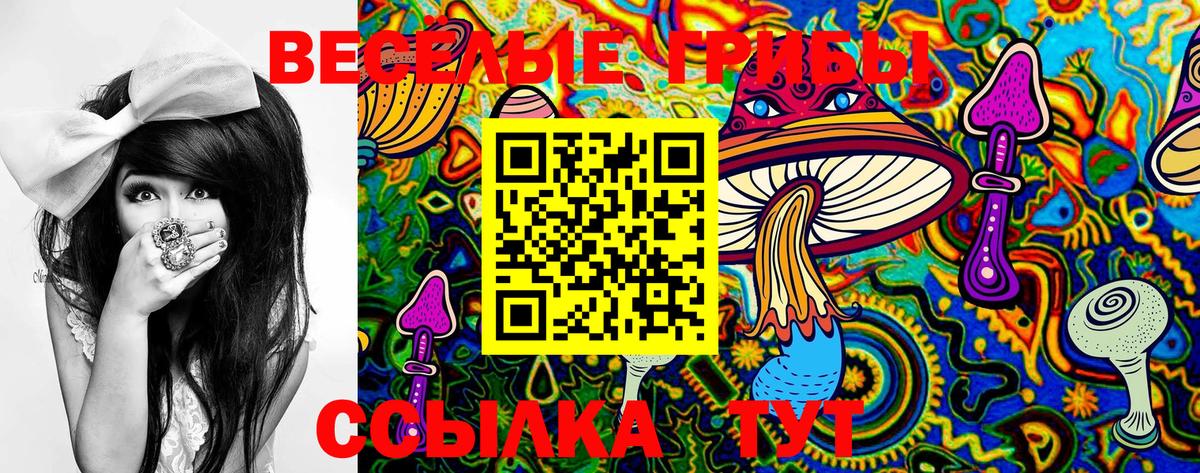 Галлюциногенные грибы Psilocybine cubensis Лесной